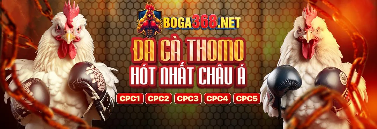Đá Gà Trực Tuyến kịch tính tại sb365